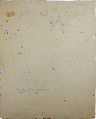 Дубяго Василий Васильевич. Портрет дамы в шляпе 